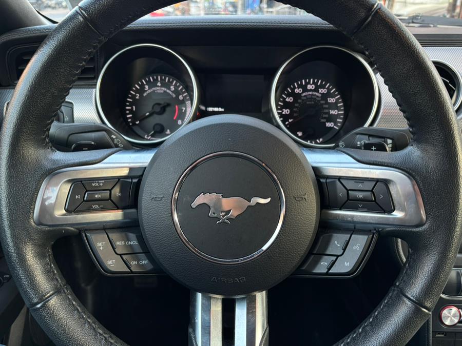 2019 Ford Mustang EcoBoost Fastback photo