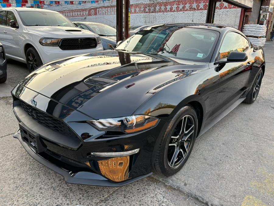 2019 Ford Mustang EcoBoost Fastback photo