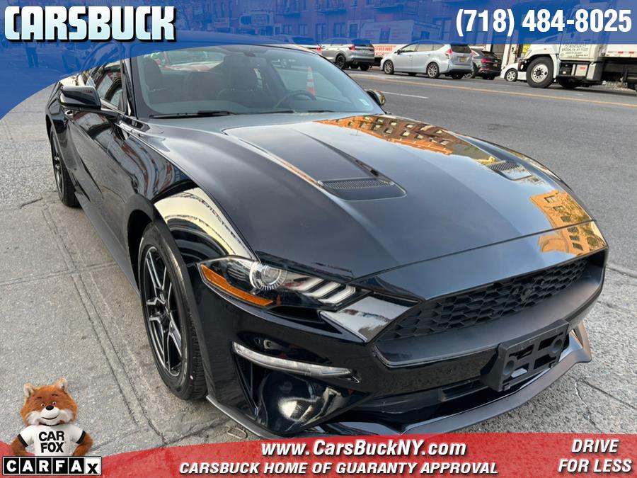 2019 Ford Mustang EcoBoost Fastback photo