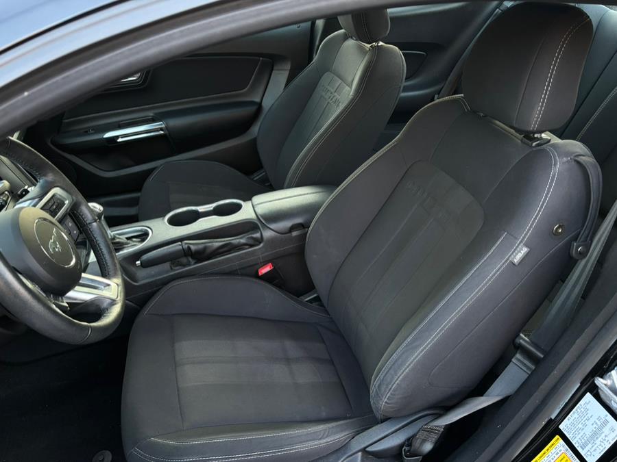 2019 Ford Mustang EcoBoost Fastback photo
