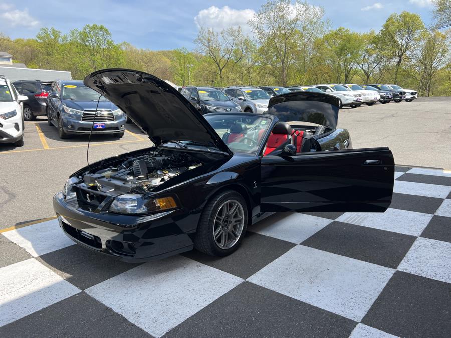 2003 Ford Mustang SVT Cobra photo