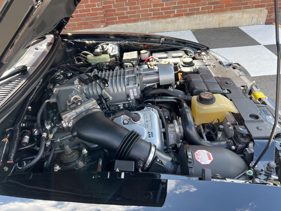 2003 Ford Mustang SVT Cobra photo