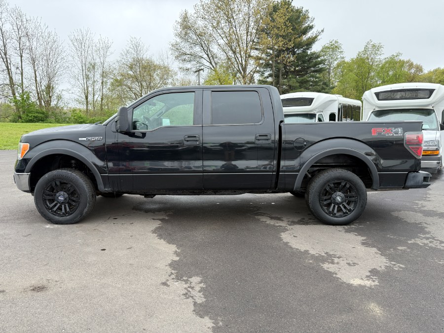 2010 Ford F-150 XL photo