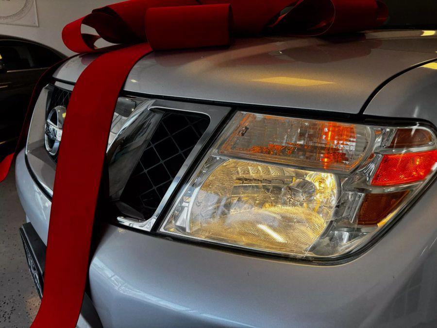 2009 Nissan Pathfinder LE photo